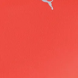 Puma Cloudspun Red Round Neck T-Shirt image 5