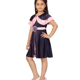 Aarika Kids Navy & Pink Applique Frock image 3