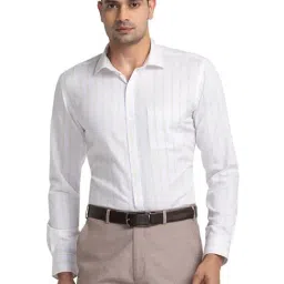 Park Avenue Yellow Slim Fit Striped Shirt-picture-28