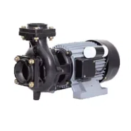 CG 3 HP Single Phase Centrifugal Monoblock Pump, CGXMB3090S image 2