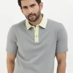 Rare Rabbit Grey Regular Fit Solid Polo T-Shirt-picture-32