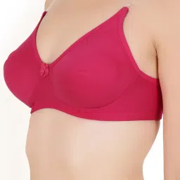 Floret Multicolor Non Wired Non Padded T-Shirt Bra (Pack Of 2) image 4