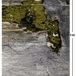 Ddecor Live Beautiful Amery Green Polypropylene Medium Rugs image 3