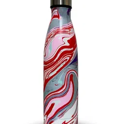 SANJARY Stainsless Steel Mix Print Water Bottle 500ml for Kids Color Design May Vary-picture-20