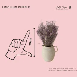 Arte Casa Limonium - Purple image 3