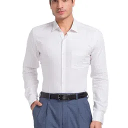 Park Avenue Beige Slim Fit Checks Shirt-picture-18