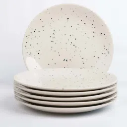 VarEesha White Ceramic Speckled Dinner Plate - Set of 6 image 3