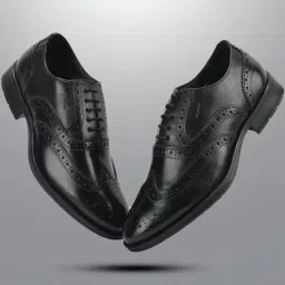 Woodland Men's Black Brogue Shoes-picture-20