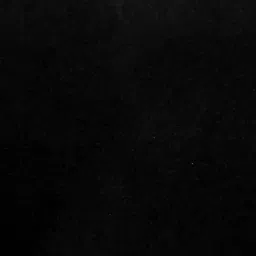 Auto Pearl CMBK11 Polyester Standard Mat for Maruti Alto K10 (Black) image 3