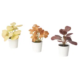 ikea fejka Artifi potted plant w pot, set of 3, in/outdoor leaves, 6 cm-picture-24