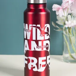 VON CASA Red Stainless Steel 750 ml Water Bottle | Stainless Steel (Red)-image-30