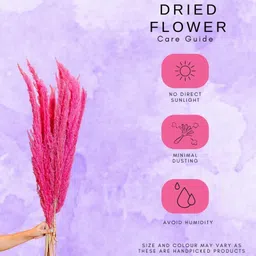 Arte Casa Pink Pampas image 2