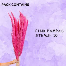 Arte Casa Pink Pampas image 4