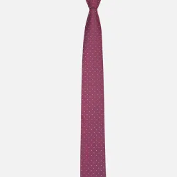 Allen Solly Maroon Polyester Embroidered Tie image 2