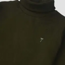 Palm Tree Kids Green Cotton Regular Fit Full Sleeves Skivvy image 3