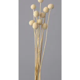 Arte Casa White Billy Ball image 2