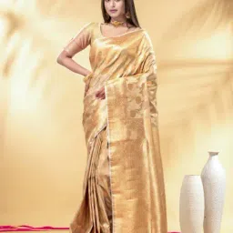 Charukriti Beige Silk Embellished Saree-picture-47