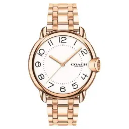 Coach CO14503598W Analog Watch for Women-image-0