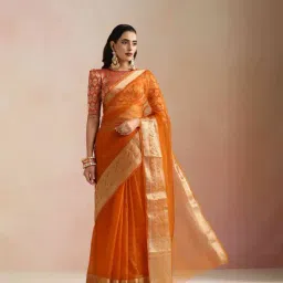 true Browns Orange Organza Saree-image-20