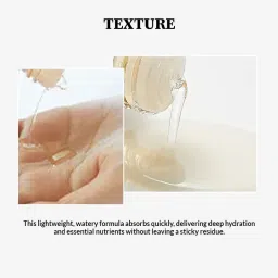 Mixsoon Korean Daisy Essence image 3