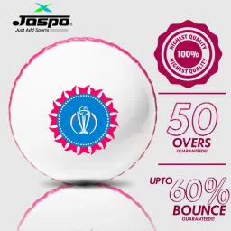 Jaspo Revive World Cup Edition PVC Cricket Ball Only-Durable and Ideal image 2