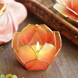 Pure Home and Living Pink & Green Mother of Pearl 12 Petals Capiz Tea Light Holder-picture-42