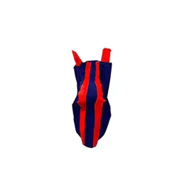Auto Pearl Bike Cover with Mirror Pockets Compatible with Suzuki Gixxer Sf (Red and Blue)-image-33