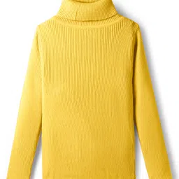 RVK Knit Full Sleeves Ribbed Skivvy Sweater - Yellow-picture-19
