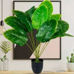 Dekorly Black Plastic Money Plant Artificial Flowers & Plants With Pot-picture-39