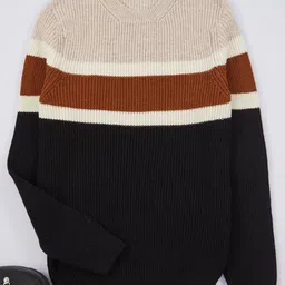 Trendyol Men Colourblocked Pullover-picture-19