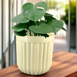 GARDEN'S NEED Seoul 2Pcs Cream-Colored Textured Planters image 4
