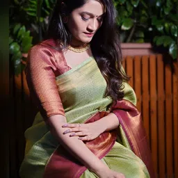 Moda Rapido Woven Design Zari Handloom Banarasi Saree-picture-12