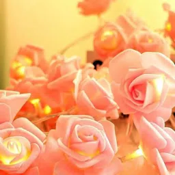 Homesake White Foam 14LED Indoor Outdoor Fairy Globe String Lights image 3