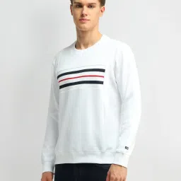 Arrow Sport White Cotton Regular Fit Striped Sweatshirt image 3