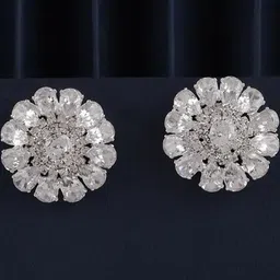 Bhagya Lakshmi Alloy Earrings-image-74