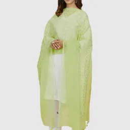 Fabindia Lime Green Embroidered Dupatta-picture-17