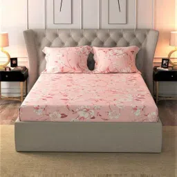 Urban Space Serene Peach Cotton 200 TC King Fitted Bedsheet With Pillow Covers-image-36