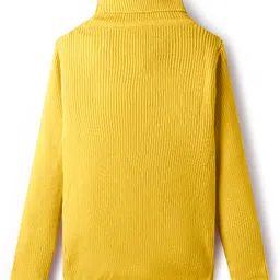 RVK Knit Full Sleeves Ribbed Skivvy Sweater - Yellow image 3