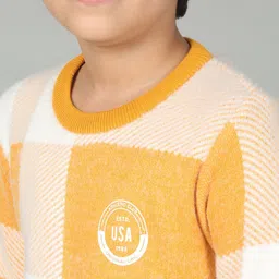 Cantabil Boys Colourblocked Pullover image 3