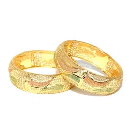 Jewels Galaxy Set of 2 Gold-Toned & Off-White Textured Bangles-picture-58