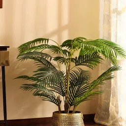 Elemntl Green 1 Pieces Palm With Pot image 1