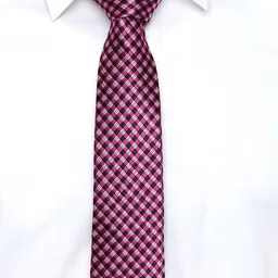 Alvaro Castagnino Purple & Black Checked Broad Tie image 4