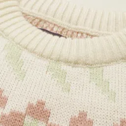 Allen Solly Girls Beige Regular Fit Printed Sweater image 4