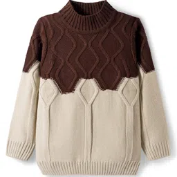 Pine Kids Knit Full Sleeves Pullover Sweater with Color Block & Cable Knit Design - Brown-image-27