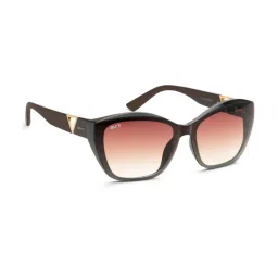 Irus Brown Cat Eye Sunglasses For Women image 3
