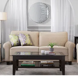 HomeTown Beige Velvet 3 Seater Sofa-picture-29