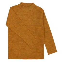 Elefantino Full Sleeves Solid Sweater - Mustard image 4