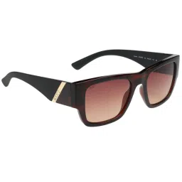 SCOTT Brown Wayfarer UV Protection Unisex Sunglasses image 3