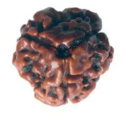 RAVIOUR LIFESTYLE Unisex Brown Pendant image 1