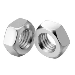 APL Hex Nut Stainless Steel 316 M 27 Size (Pack of 50) image 2